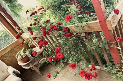 Photo of property in 9 Papanui Street, Tokoroa, 3420