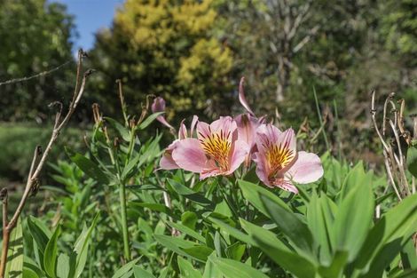 Photo of property in 12 Stewart Road, Rangiriri, Te Kauwhata, 3782
