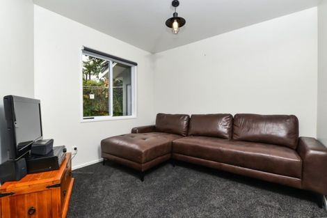 Photo of property in 14 Riverview Terrace, Fairfield, Hamilton, 3214