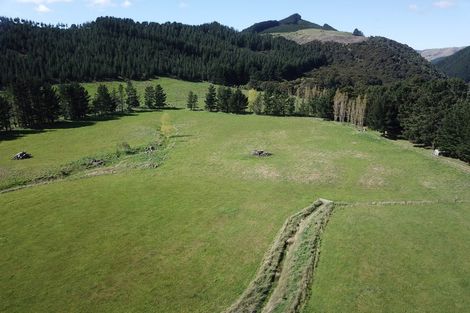 Photo of property in 545 Whakatomotomo Road, Pirinoa, Featherston, 5772