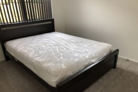 Photo of property in 9 Fricker Way, Flat Bush, Auckland, 2019