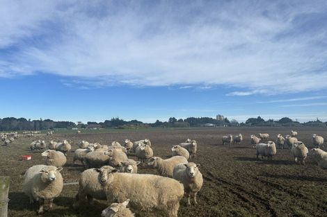 Photo of property in 315 Mcquarrie Street, Tisbury, Invercargill, 9812