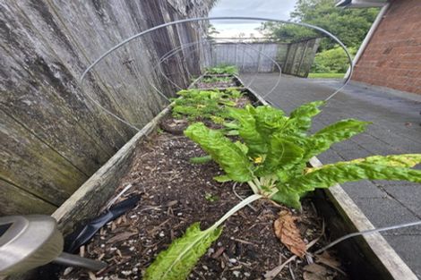 Photo of property in 349 Ohaupo Road, Te Awamutu, 3800