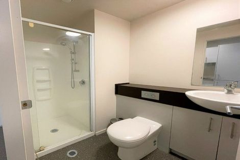 Photo of property in The Peak Apartments, 1001/170 Taranaki Street, Te Aro, Wellington, 6011