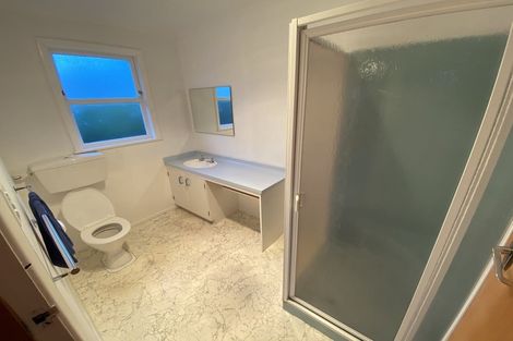 Photo of property in 109 Te Awe Awe Street, Hokowhitu, Palmerston North, 4410