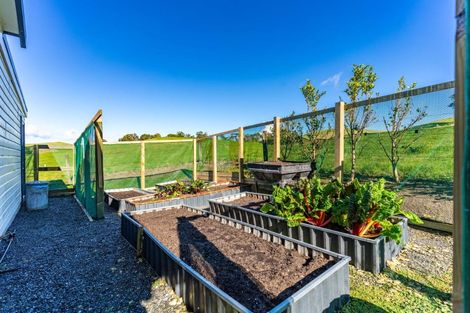 Photo of property in 264 Bee Bush Road, Arapohue, Dargaville, 0374