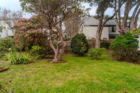 Photo of property in 21 Nairn Street, Mount Cook, Wellington, 6011