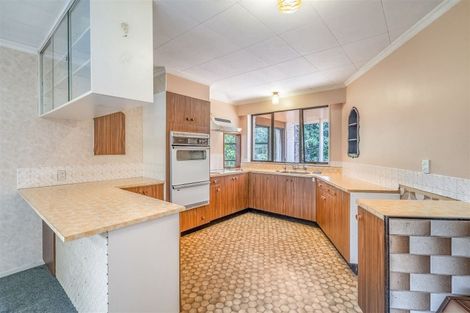 Photo of property in 20 Garden Street, Lumsden, 9730