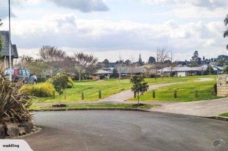 Photo of property in 17 Thomas Moore Place, Pukekohe, 2120