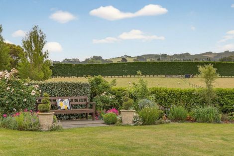 Photo of property in 225 Marshmans Road, Ashley, Rangiora, 7477