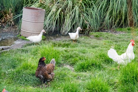 Photo of property in 438 Riccarton Road West, North Taieri, Mosgiel, 9092