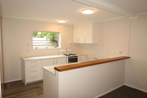 Photo of property in Parklane Mews, 326c The Terrace, Te Aro, Wellington, 6011