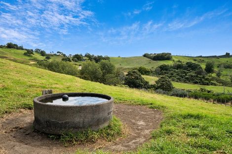 Photo of property in 371 Esdaile Road, Whakamarama, Tauranga, 3180