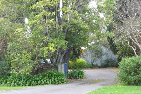 Photo of property in 67 Mchardy Street, Havelock North, 4130