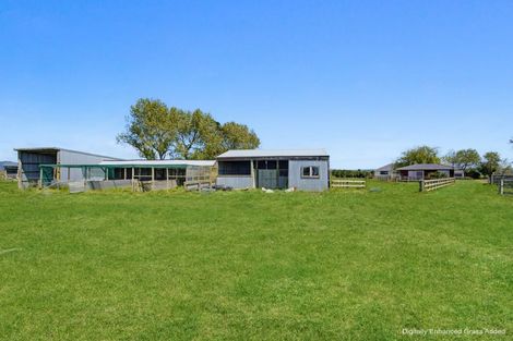 Photo of property in 138 Harris Road, Otaua, Waiuku, 2682