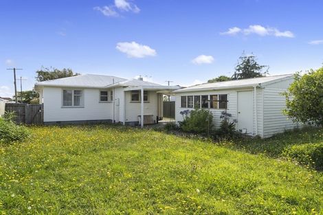 Photo of property in 20 Norfolk Street, Levin, 5510
