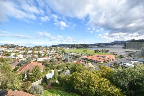 Photo of property in 36 Heath Street, Andersons Bay, Dunedin, 9013