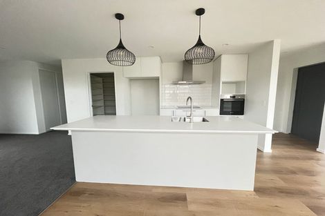 Photo of property in 132 Jean Archie Drive, Rolleston, 7614