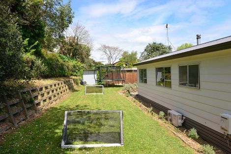 Photo of property in 45 Hazelwood Avenue, Dinsdale, Hamilton, 3204