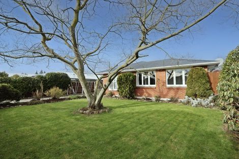 Photo of property in 10 Galbraith Street, Allenton, Ashburton, 7700