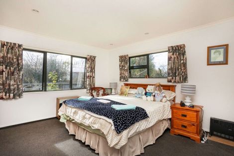 Photo of property in 45 Barraud Street, Dannevirke, 4930