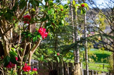 Photo of property in 9 Onedin Place, Titirangi, Auckland, 0604