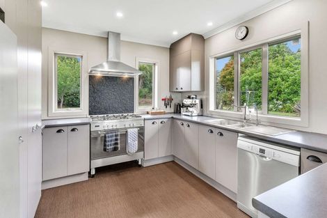 Photo of property in 4 Aka Aka Road, Puni, Pukekohe, 2678