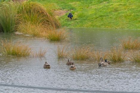 Photo of property in 15 Robert Duncan Road, Belfast, Christchurch, 8051