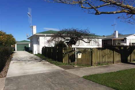 Photo of property in 45 Graham Street, Levin, 5510
