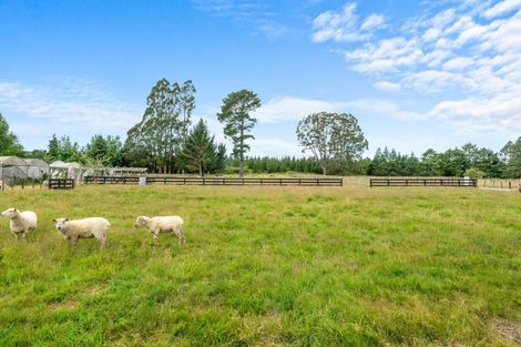 Photo of property in 36 Dumfries Road, Tokoroa, 3420