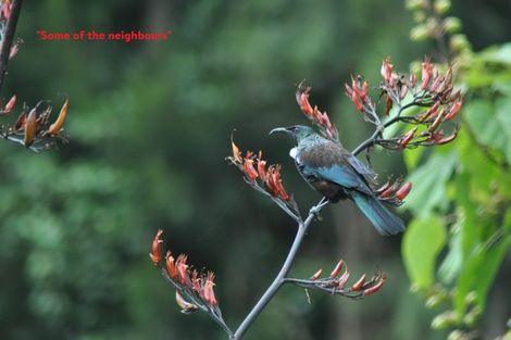 Photo of property in 229 Surrey Hill Road, Kaitake, New Plymouth, 4374