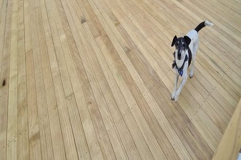 Photo of property in 2/100 Manuka Road, Bayview, Auckland, 0629