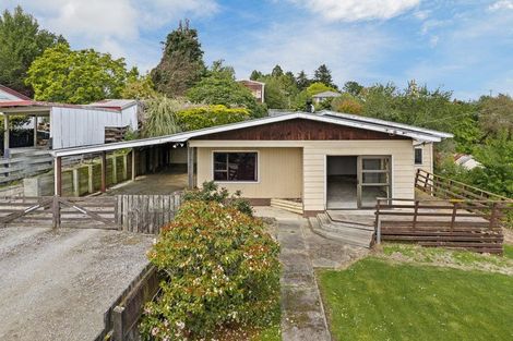 Photo of property in 24 Kirkwall Street, Palmerston, 9430