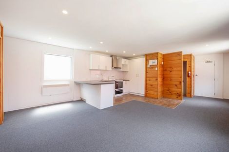 Photo of property in Te Awhina Apartments, 17/22 Sussex Street, Mount Cook, Wellington, 6021