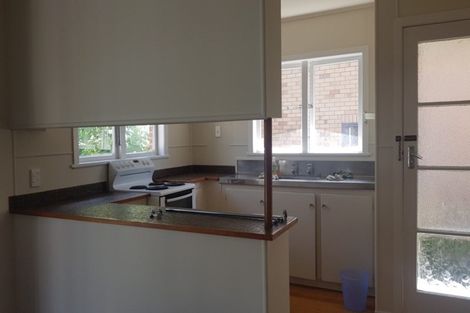 Photo of property in 28 Camellia Place, Mount Roskill, Auckland, 1041