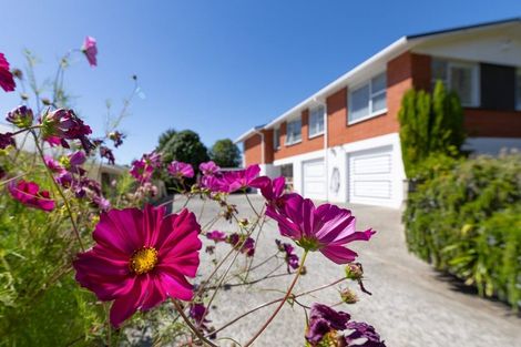 Photo of property in 38 Waerenga Road, Te Kauwhata, 3710