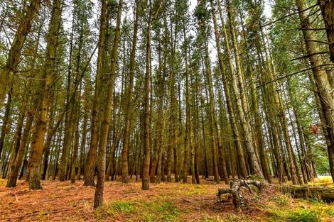 Photo of property in 7 Scarlett Oak Drive, West Melton, Christchurch, 7671