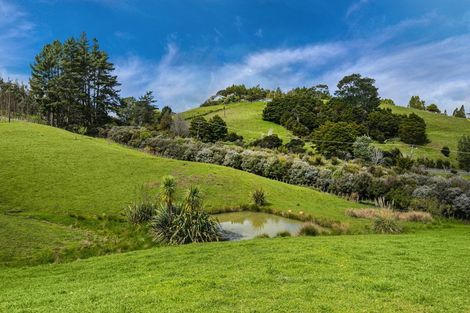 Photo of property in 887 Haruru Road, Wainui, Kaukapakapa, 0873
