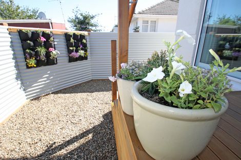 Photo of property in 212 Gordon Road, Mosgiel, 9024