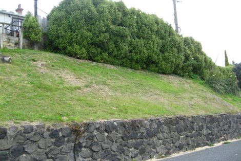 Photo of property in 20 Sidey Street, Calton Hill, Dunedin, 9012