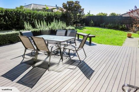 Photo of property in 17 Thomas Moore Place, Pukekohe, 2120