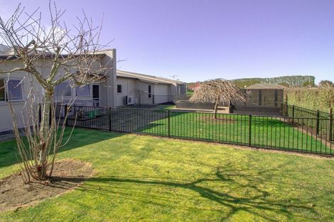 Photo of property in 56 Gordon Avenue, Te Aroha, 3392