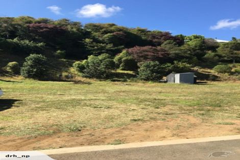 Photo of property in 5 Okoare Lane, Ferndale, New Plymouth, 4310