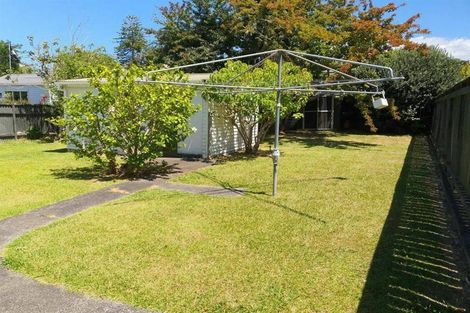 Photo of property in 16 Bangor Street, Point Chevalier, Auckland, 1022
