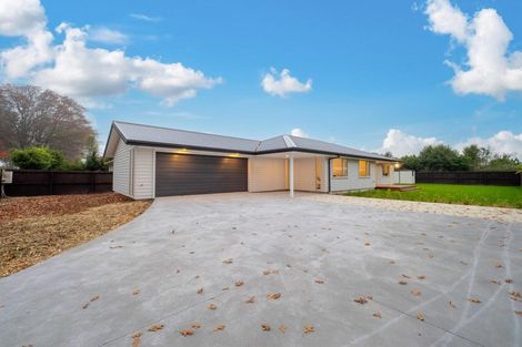 Photo of property in 31 Emmett Street, Shirley, Christchurch, 8013