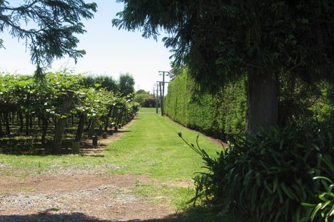 Photo of property in 69b James Road, Te Puna, Tauranga, 3176