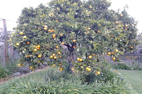 Photo of property in 27a Fearon Street, Motueka, 7120