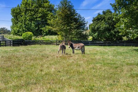 Photo of property in 1713 Gordonton Road, Taupiri, 3791