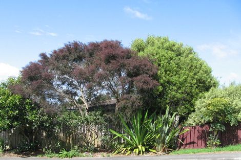 Photo of property in 1 Fernhaven Place, Massey, Auckland, 0614