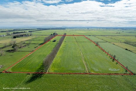 Photo of property in 258 Holland Road, Puketaha, Hamilton, 3286